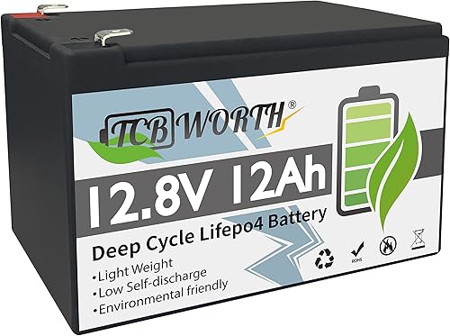 Miniatura 8 de TCBWORTH - Batería de litio LiFePO4 de 12 V y 100 Ah con BMS de 100 A, batería recargable de fosfato de hierro de litio de ciclo profundo, para