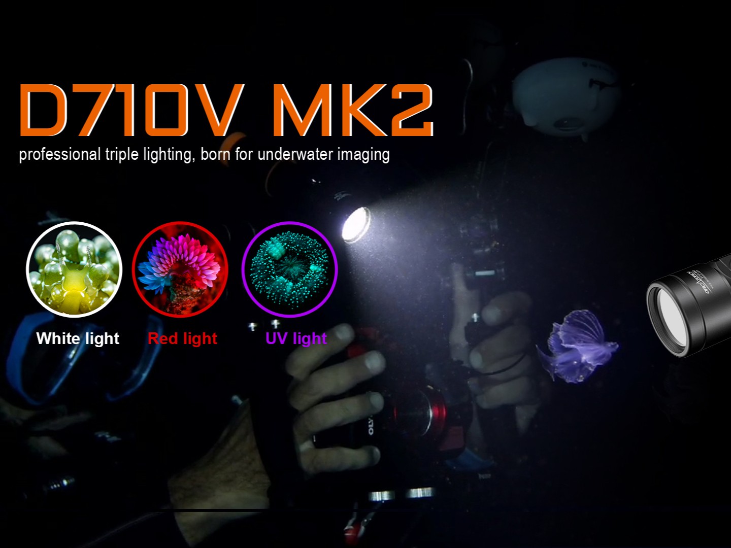 ORCATORCH D710V MK2 Kit Luce Subacquea Doppia 4600 Lumen | Bianco, Rosso E UV | 120° Grandangolo, IP68, Per Video E Immersioni - 3