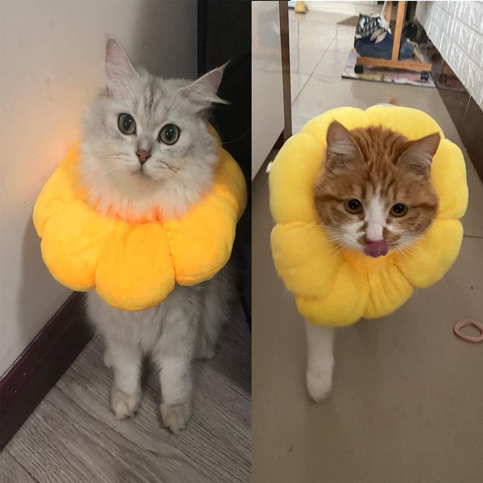 Amazon.co.jp: エリザベスカラー 犬/猫 猫 エリザベスカラー 保護