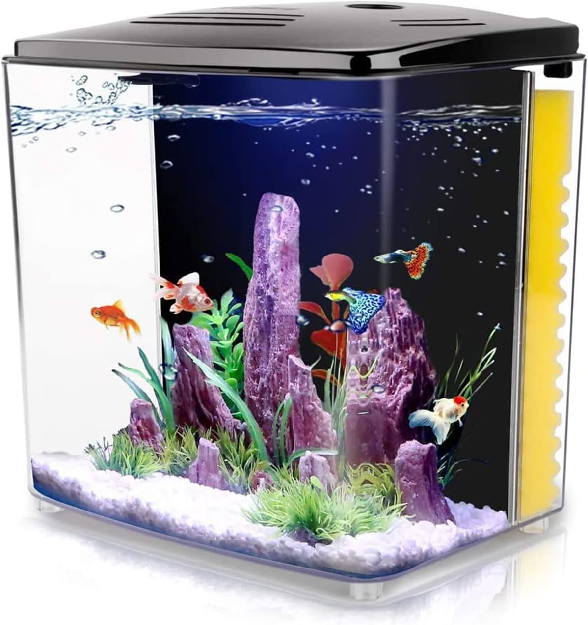 ANTOLE 1.2Gallon Betta Aquarium Office Desktop Fish Tank, Small Self-Cleaning Fish Tank Acrylic Goldfish Fish Tank with LED Light and Filter Pump