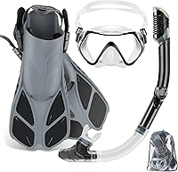 ZEEPORTE Adult Snorkel Set: Panoramic Anti-Fog Mask, Dry Top Snorkel, Adjustable Trek Fins & Gear Bag - Travel Snorkeling Kit