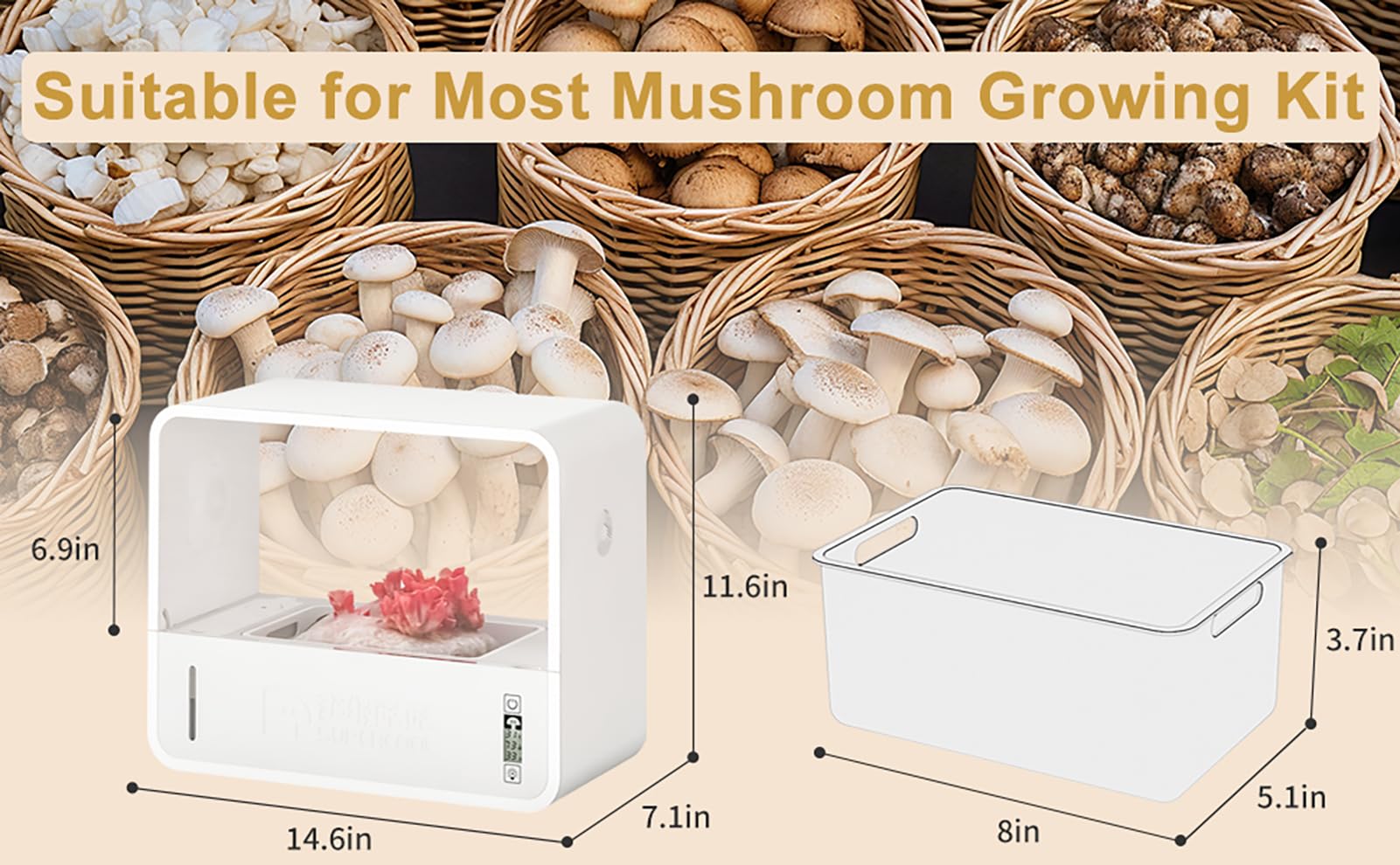 FUNGI OF SWITZERLAND 6冊セット FUNGI OF SWITZERLAND 6冊