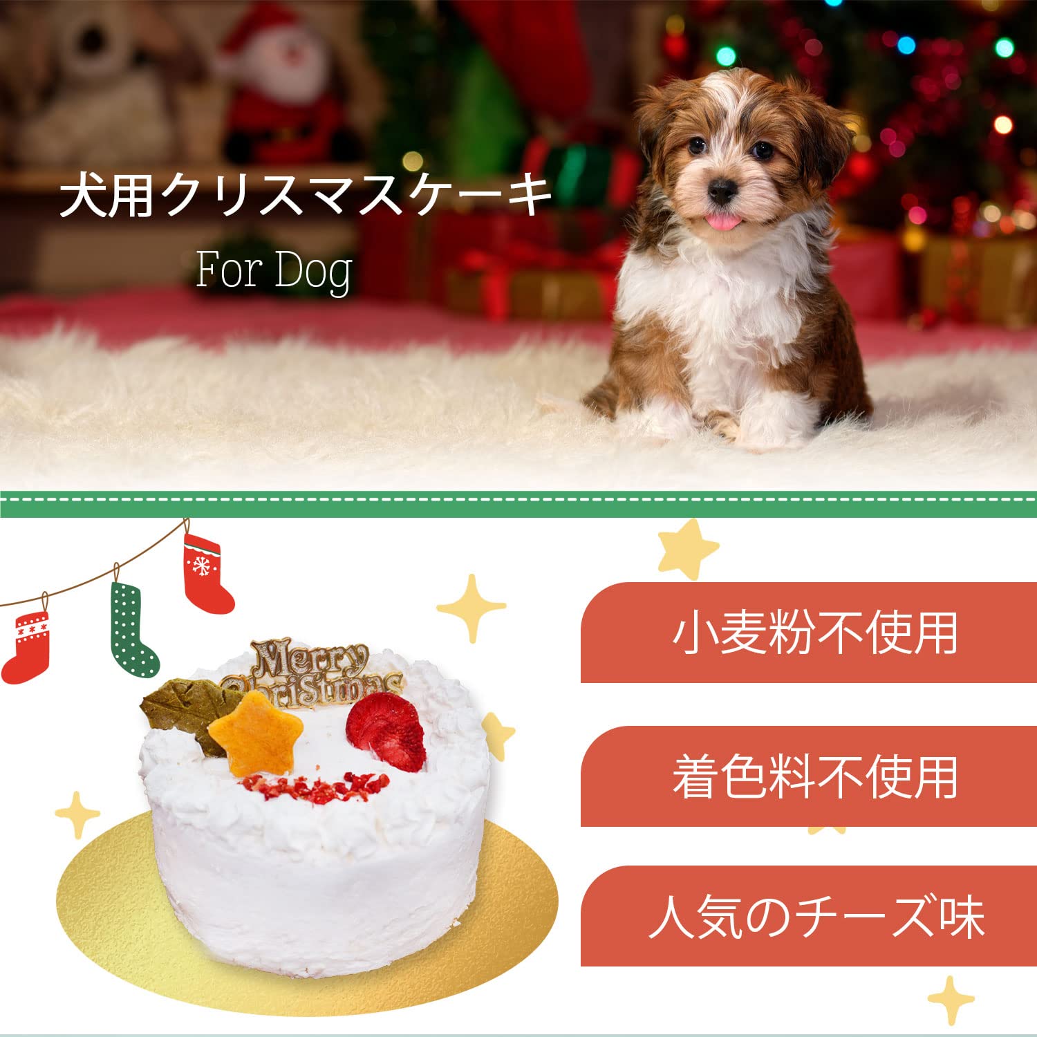 驚きの値段で 愛犬マスコットのチーズケーキ 誕生日 小麦粉不使用 オーダーメイド