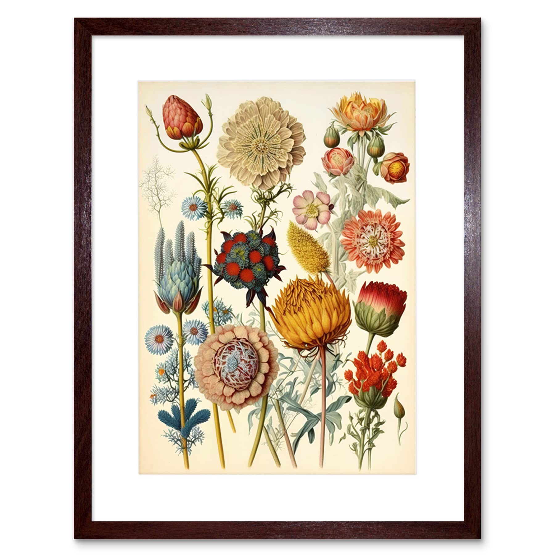 Artery8 Framed Brown 9X7 Vintage Botanical Ernst Haeckel Inspired Plant Study Modern Watercolour Painting Illustration Artwork Framed Wall Art Print 9X7 Inch