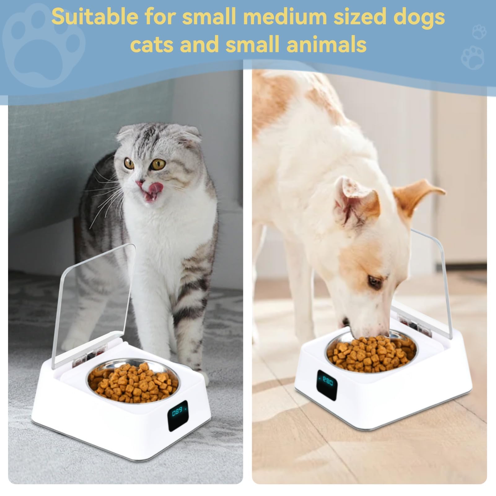 Mangeoire Automatique pour Chat, Couvercle à Induction De 350 ML, Distributeur De Nourriture pour Animaux De Compagnie, Alimentation Intelligente, Mangeoire Automatique pour Chats Et Chiens