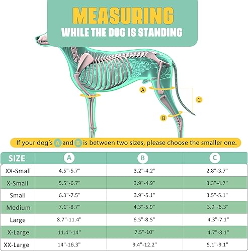 Miniatura 9 de Rodillera para perro para pierna trasera desgarrada del ligamento cruzado del ligamento cruzado de la pierna trasera, soporte fuerte para reducir el