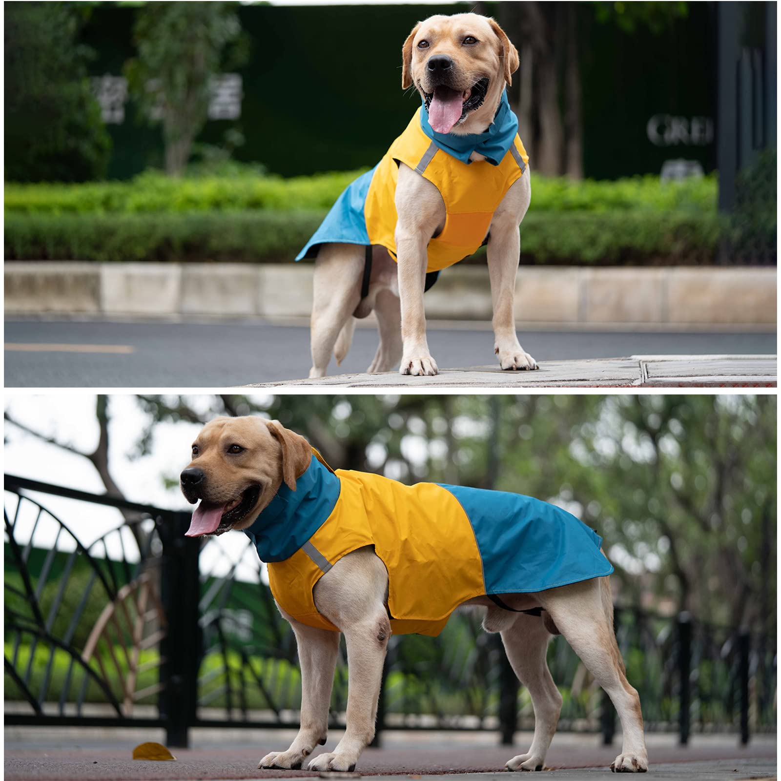 Cappotti caldi per cani, antivento per cani invernali e esterni, cappotti impermeabili per cani, con foro per guinzaglio per cani, di XXXL