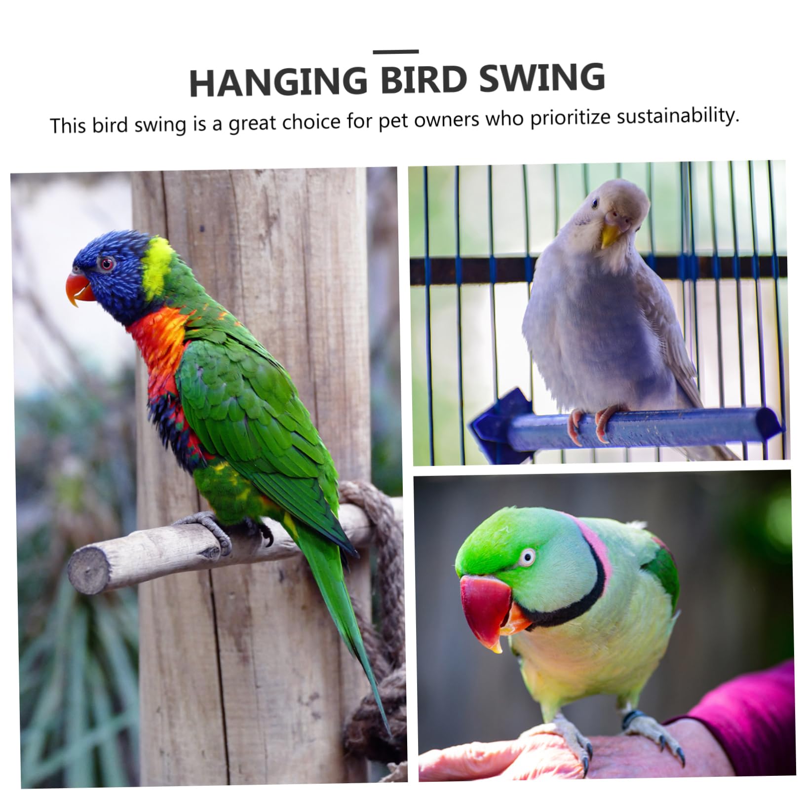 VANZACK 5pièces Balancoire Bois pour Oiseaux Perchoir Suspendu Bois pour Perruches Perroquets Et Cacatoès Jouet Activité Naturel pour Cage à Oiseaux