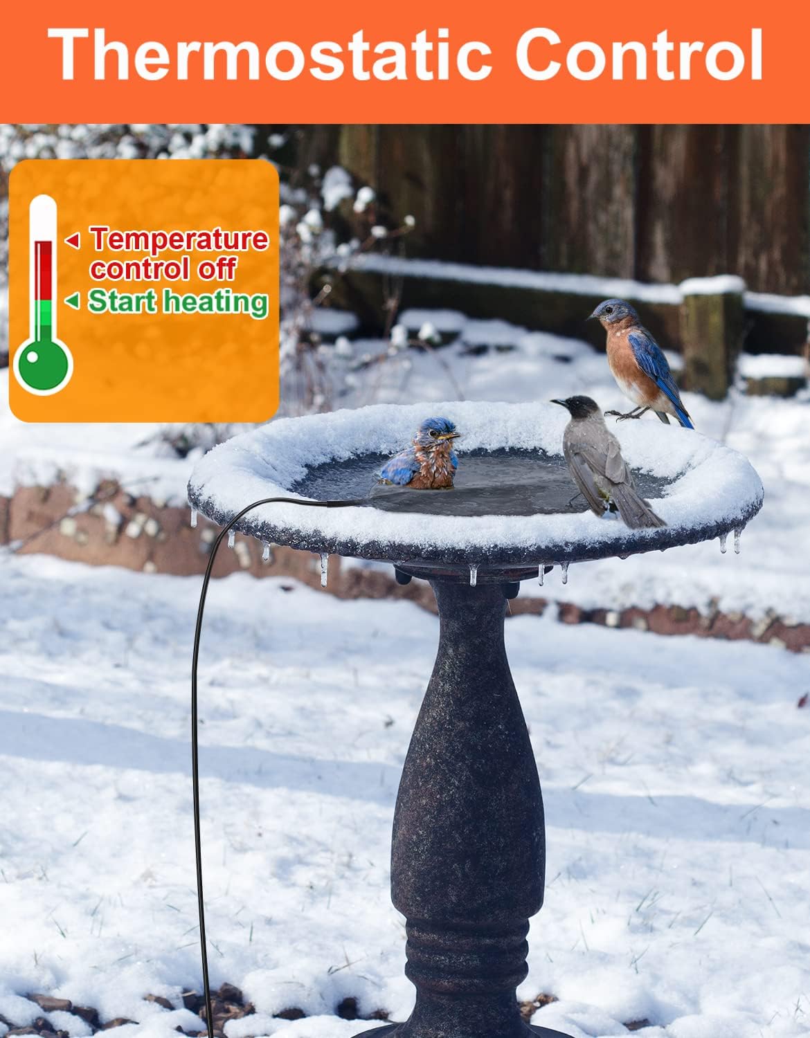 Buy Bird Bath De Icer for Outdoors in Winter, 6 Ft Cord, 60W