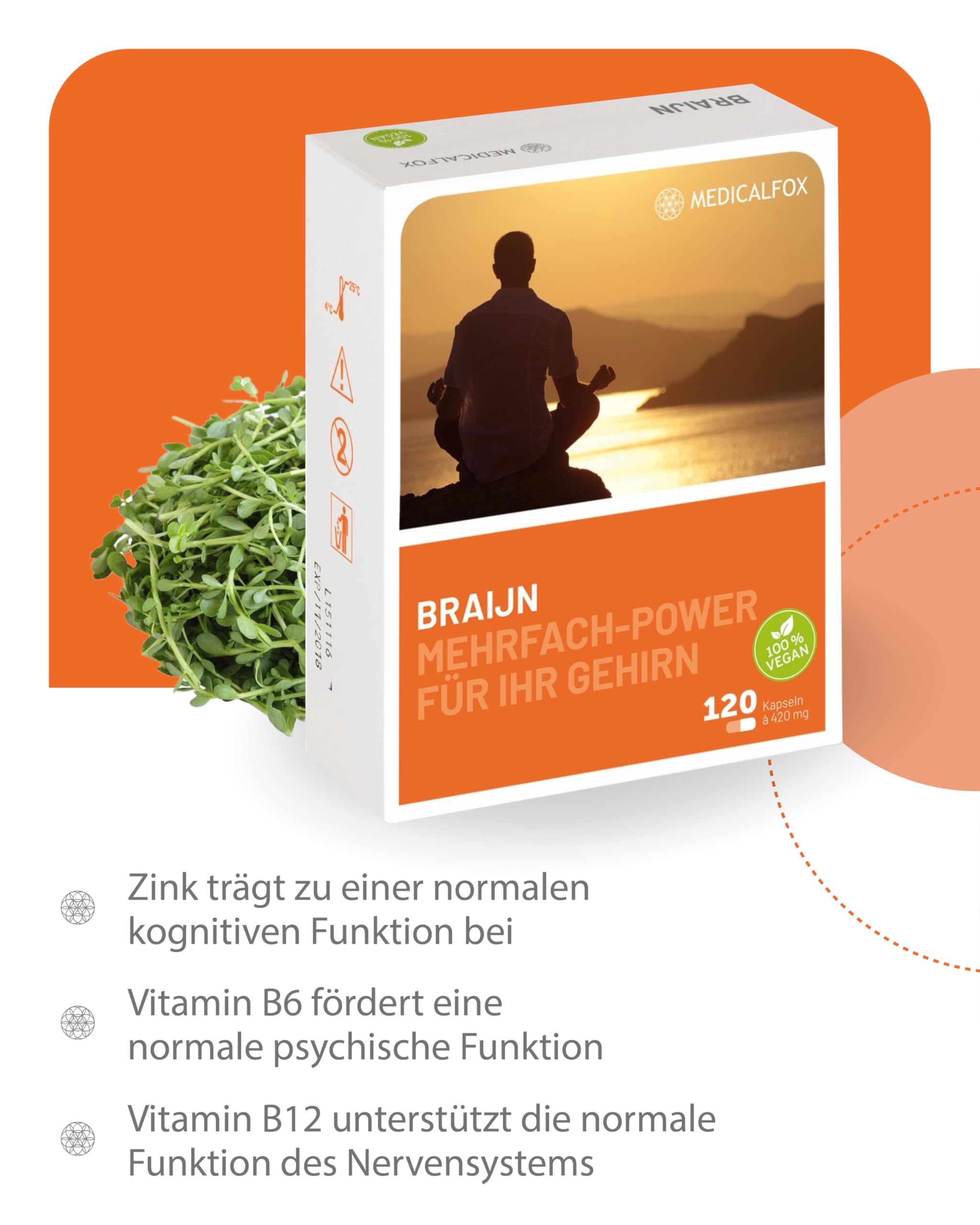 BRAIJN Konzentrations- & Gehirn Kapseln für Männer 120 Stk. vegan - Mit Vitamin B5 Pantothensäure für normale geistige Leistung, Wirkstoff-Komplex aus Brahmi, Ginkgo, Gojibeere & Zink
