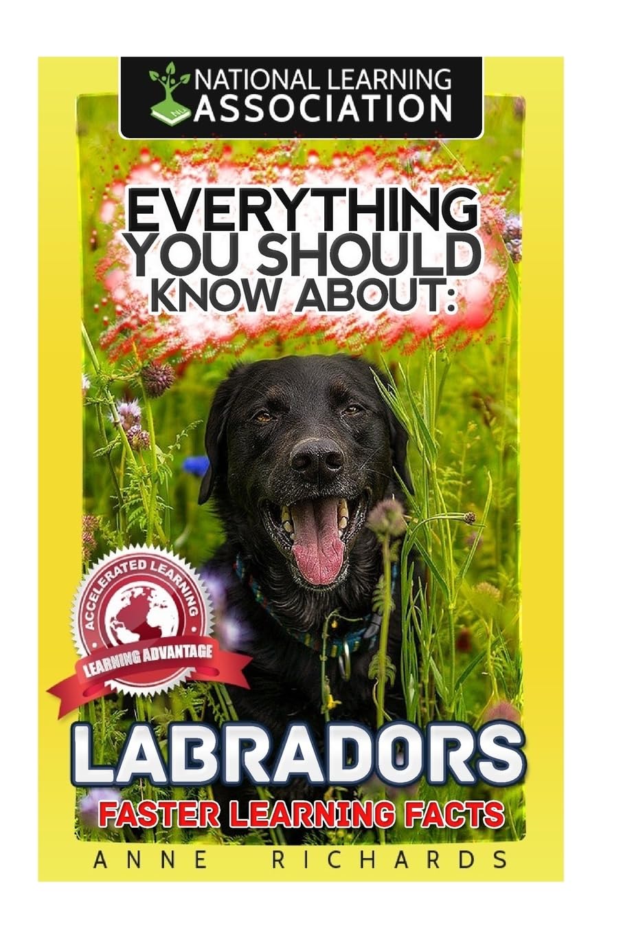 Everything You Should Know About : Labradors Faster Learning Facts