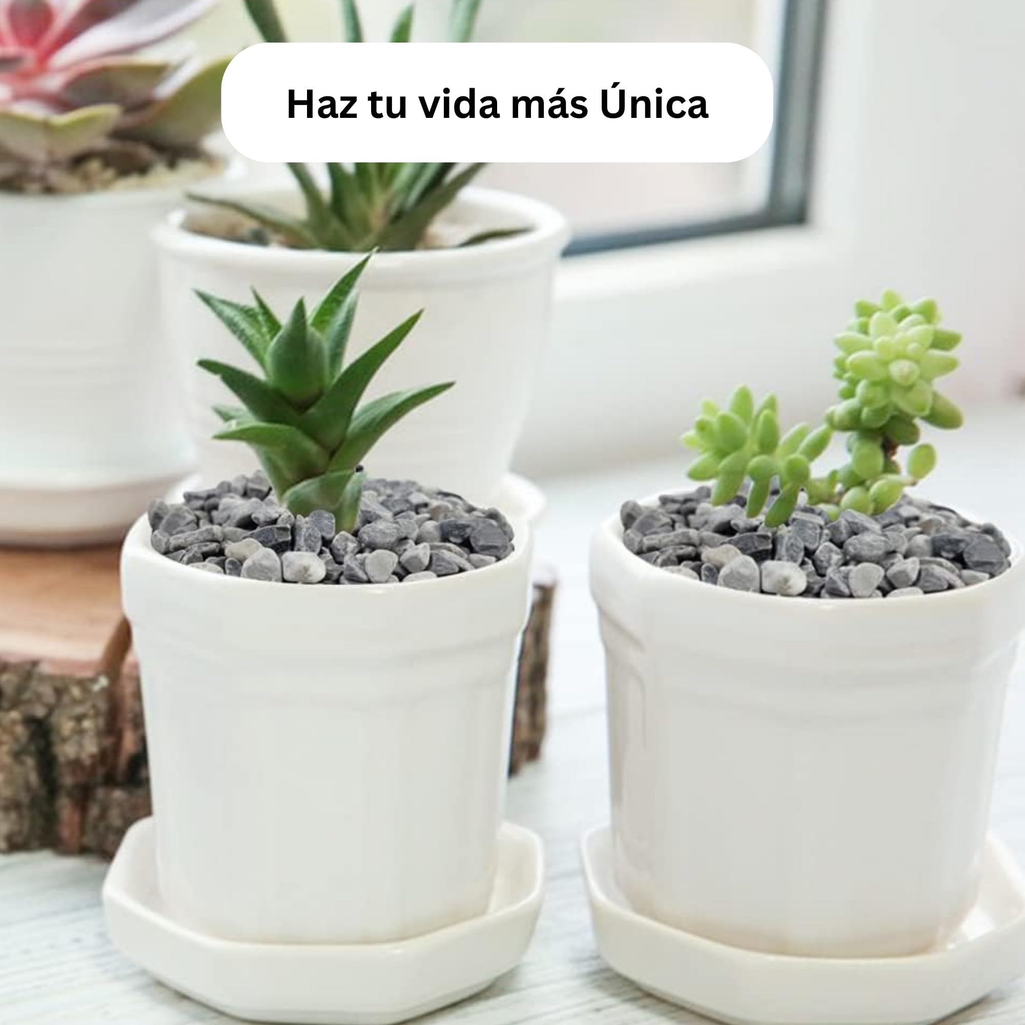 Canto Rodado Negro 20/40, 25 Kilos, Piedras Decorativas para Jardín, Ayuda contra Cambios Bruscos de Temperatura, Mejora el Drenaje, Mantiene la Humedad del Suelo