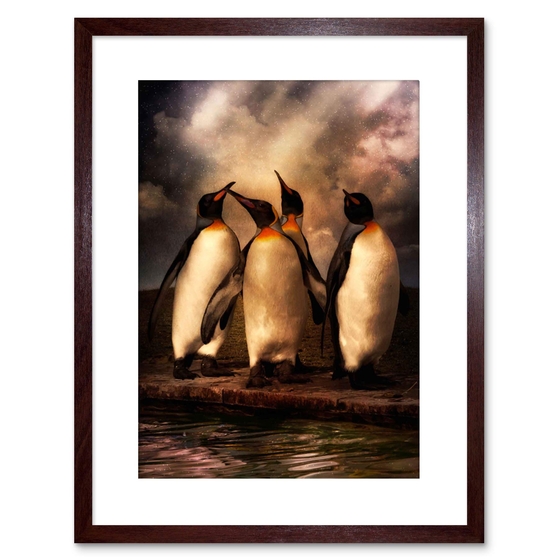 Wee Blue Coo 9x7 '' PENGUIN WATER MOODY PHOTO FRAMED ART PRINT PICTURE MOUNT PHOTO F97X801