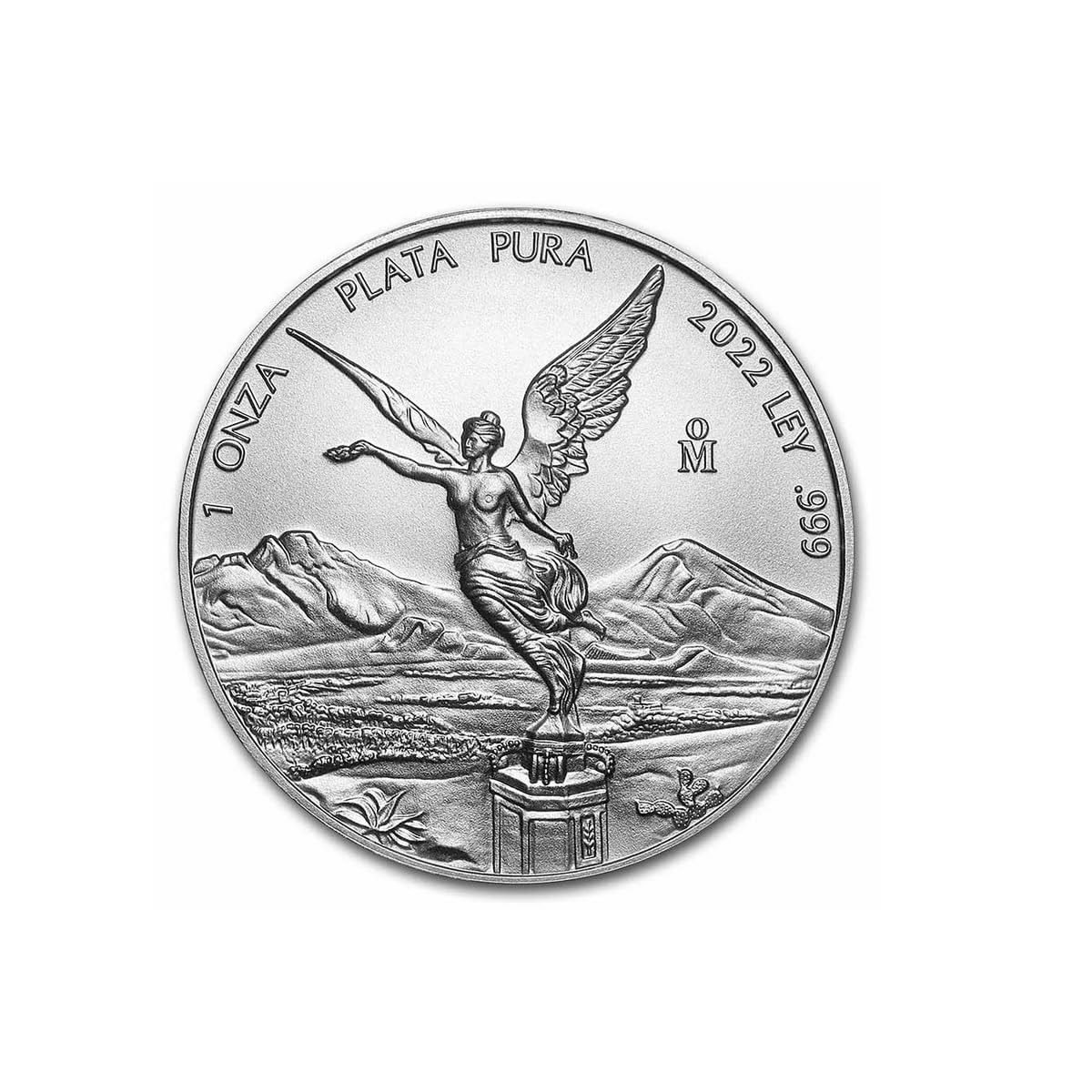 Silbermünze Libertad (Mexiko), 31,1 g (Unze), aktuelles oder früheres Jahr, inklusive Kapsel.