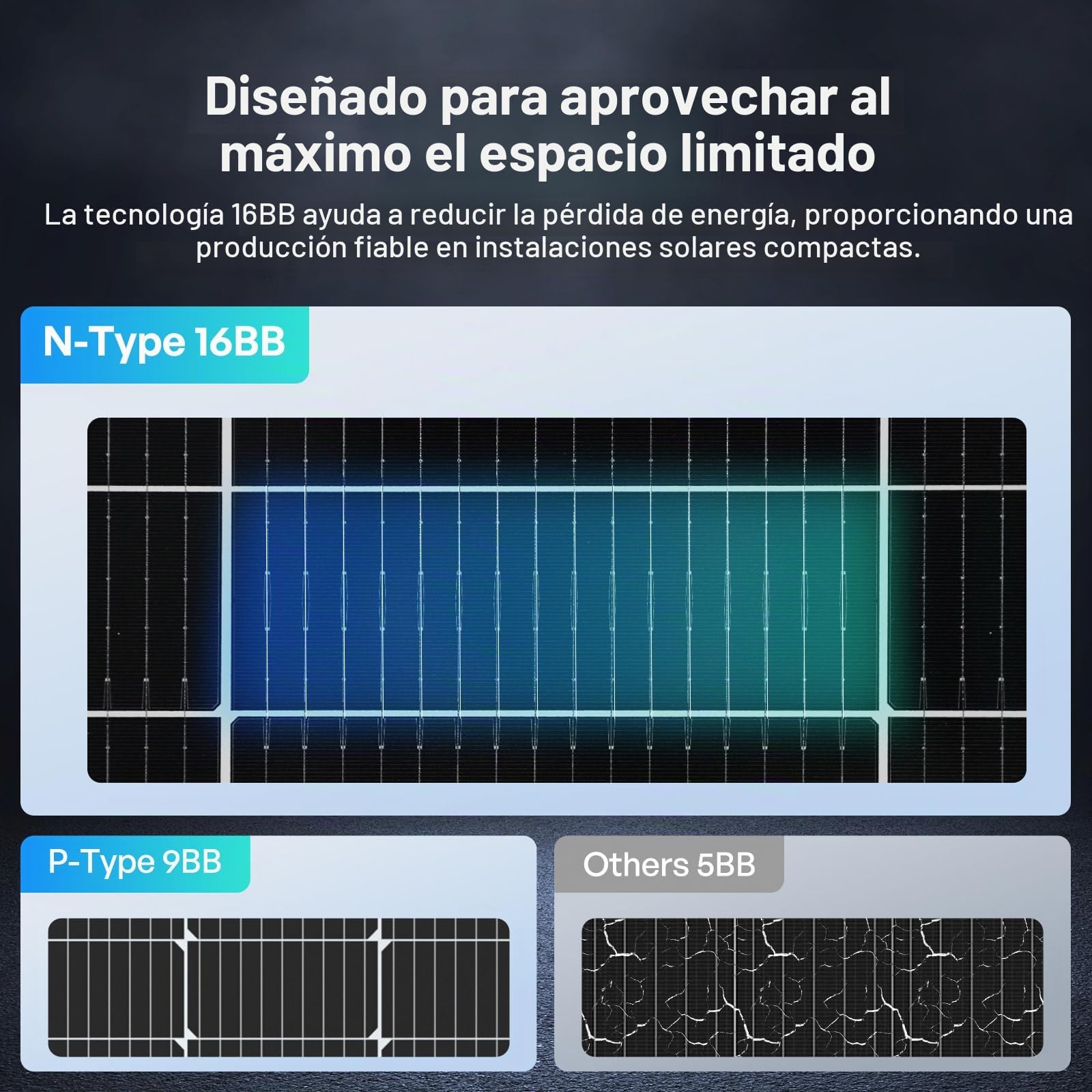 RENOGY Módulo solar monocristalino de 200 W N-Typ Bifaziales, 16BB IP68 Soalrpanel