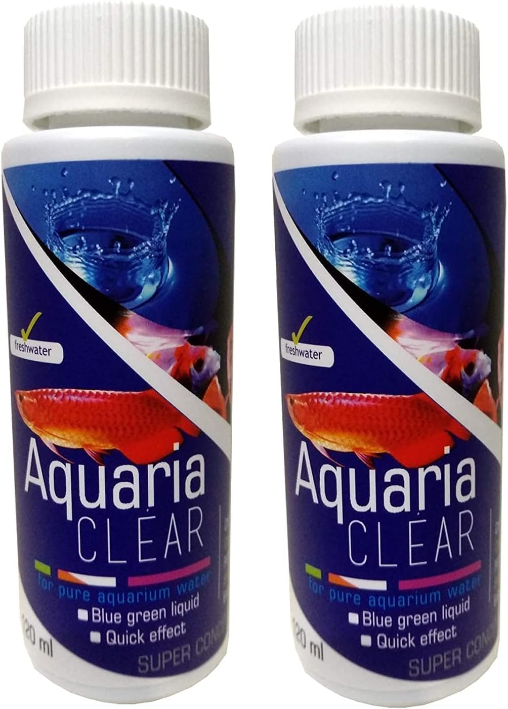 Beautiful view of Fast Algae Remover Using Snails