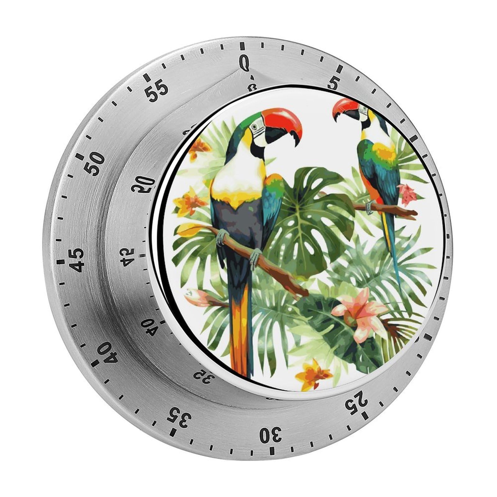 Toucans Parrot Palm Tree Leaves Visual Timer Cute Desk Timers No Batteries Required Magnetic Indoor Countdown Timers Loud Alarm Exquisite Manual Time Timer Clock for Gift