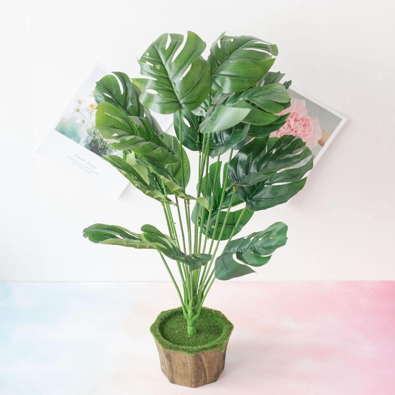 10Pcs DIY Monstera Seeds Growing Kit Fresh Greenery Split Leaf Plant Seedlings Pack for Outdoor Indoor Seeds 1size
