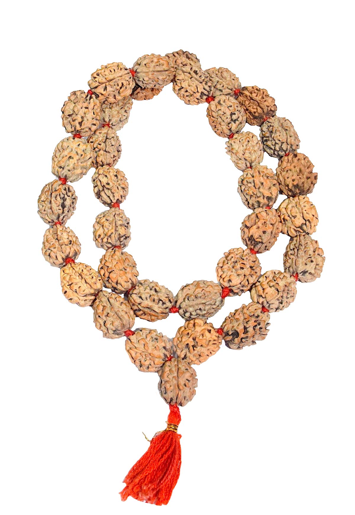 See full amazon price history chart for Rudradivine Rosary Original 3 Mukhi Rudraksha Kantha/Three Faced Rudraksha/Agni Siddha Mala - Nepali Bead Rudraksha Mala 15 To 20 MM Beads Khanta (33 +1 Beads) With Lab Certified Rudradivine Rosary Original 3 Mukhi Rudraksha Kantha/Three Faced Rudraksha/Agni Siddha Mala - Nepali Bead Rudraksha Mala 15 To 20 MM Beads Khanta (33 +1 Beads) With Lab Certified (B07VMRXH2X) Amazon Price History, Amazon Price Tracker