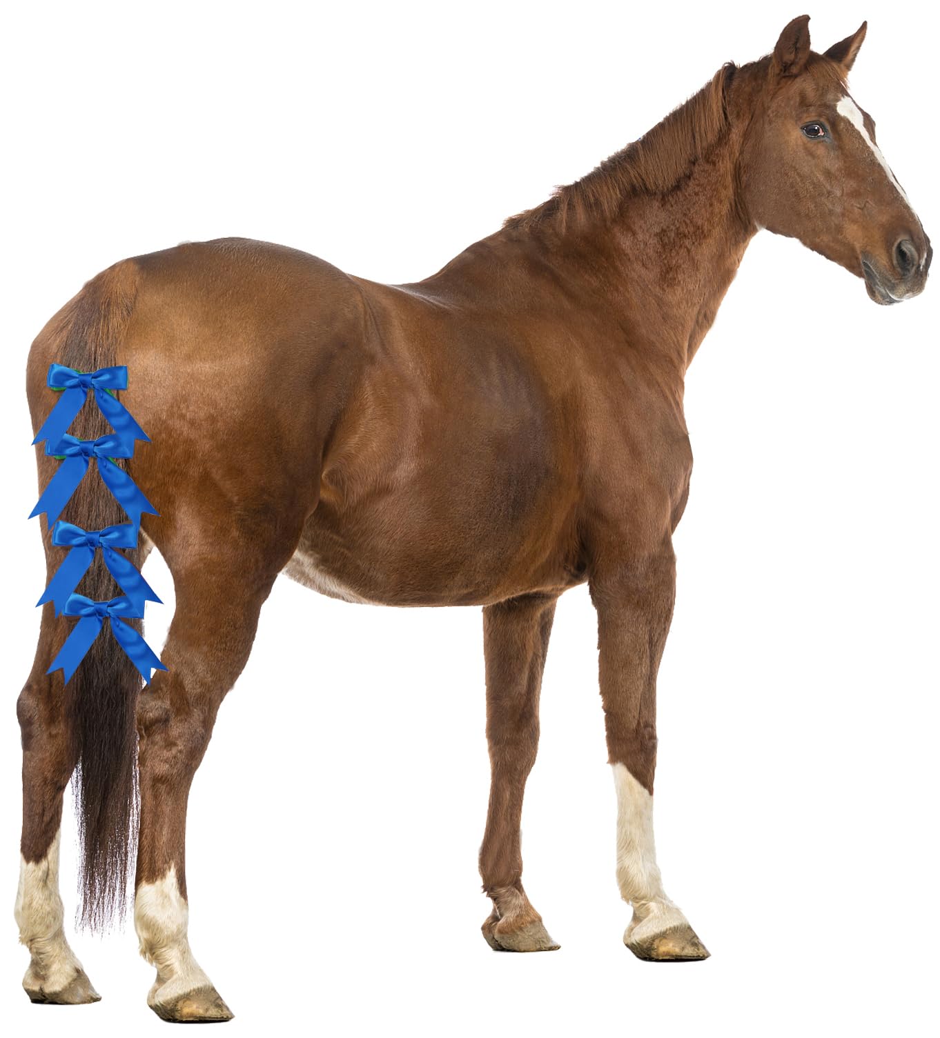 Ribbon Bow Clip for Horse Tail Pony Decoration Holiday Real Horse Christmas Parade Shows Ribbon Tie Equestrian Hair Ponytail Pet Dog Hair Clips 4pcs blue