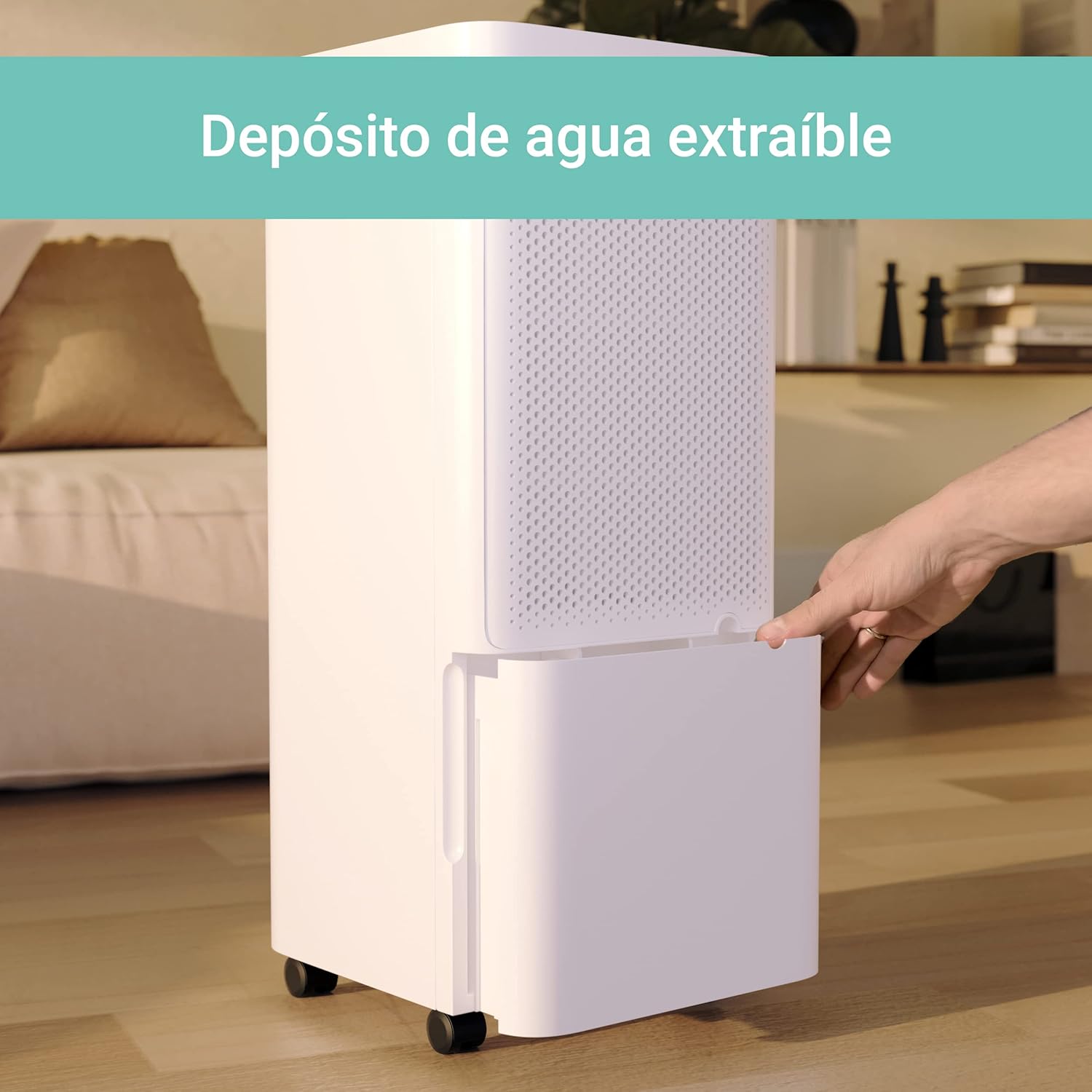 Foto del Deshumidificador