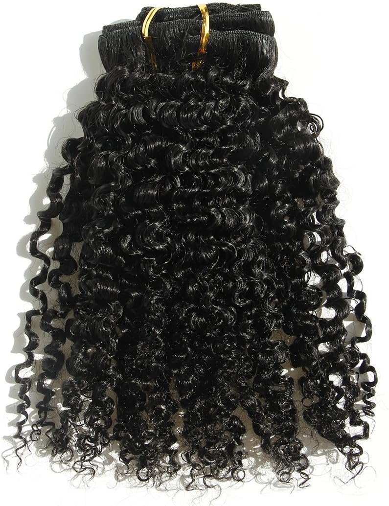 Ms Fenda Brazilian Remy Virgin Hair Kinky Curly Natural Color African American Clip In Hair Extensions 120Gram 7Pcs/Set (18", 120Gram/Set)