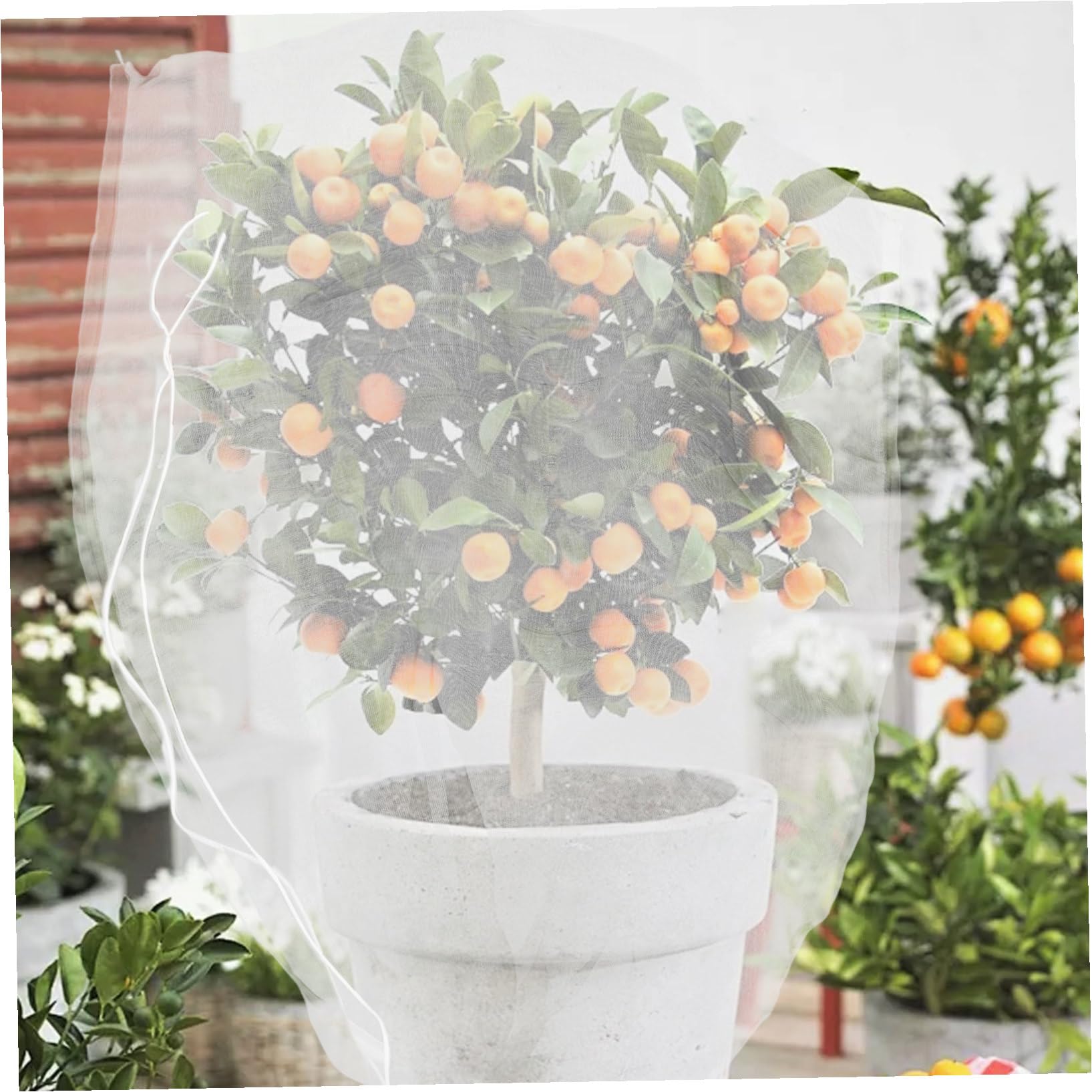 GALPADA 8 Piezas Redes Antipájaros para Plantas De Jardín Redes con Cordón para Árboles Frutales Protección para Verduras y Frutas