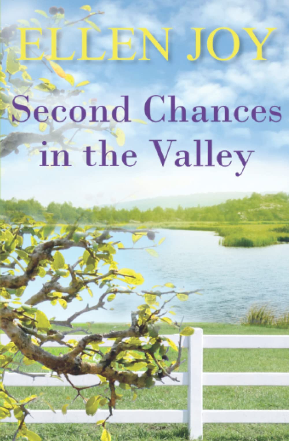 Second Chances in the Valley: Small Town Romantic Women’s Fiction (Prairie Valley Sisters, 4)