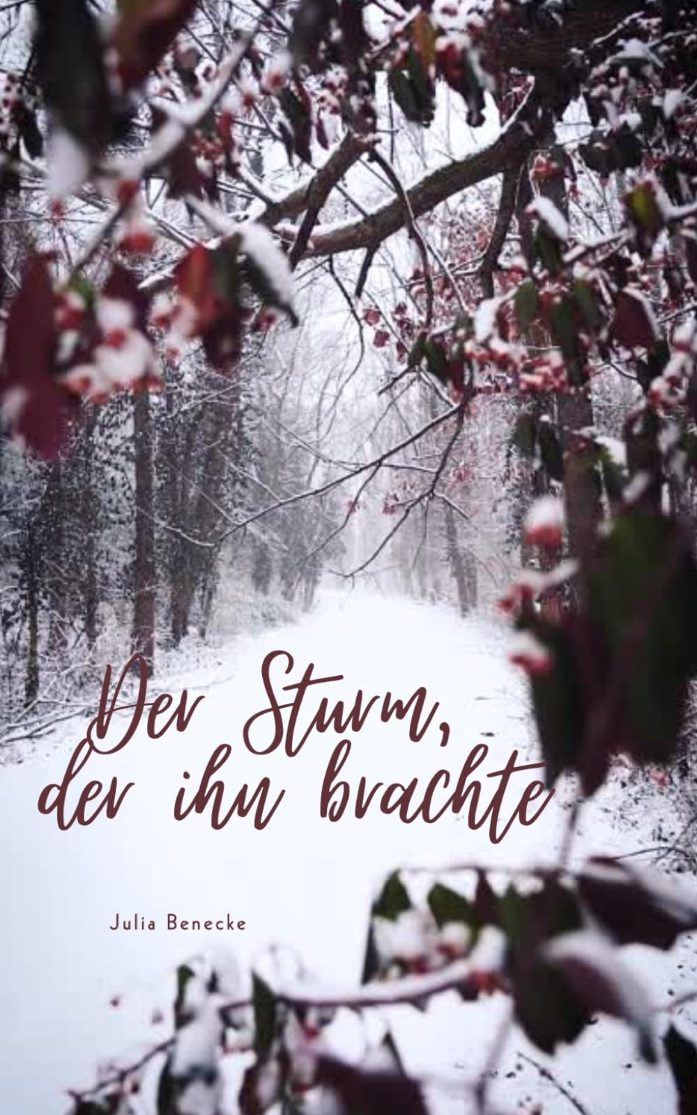 Der Sturm, der ihn brachte