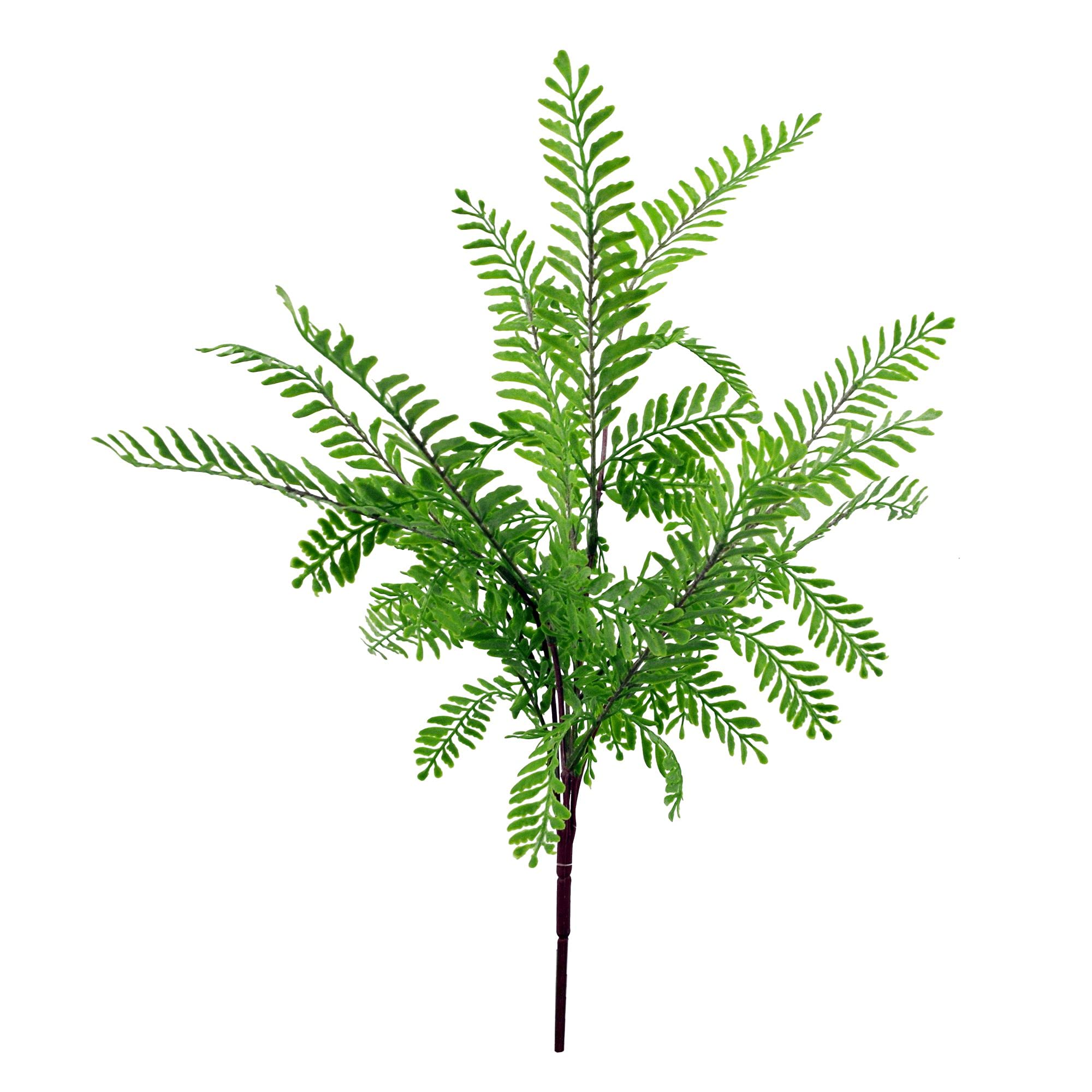 Leaf 55Cm Himilayan Maidenhair Fern Bush Light Green Plant from B&Q
