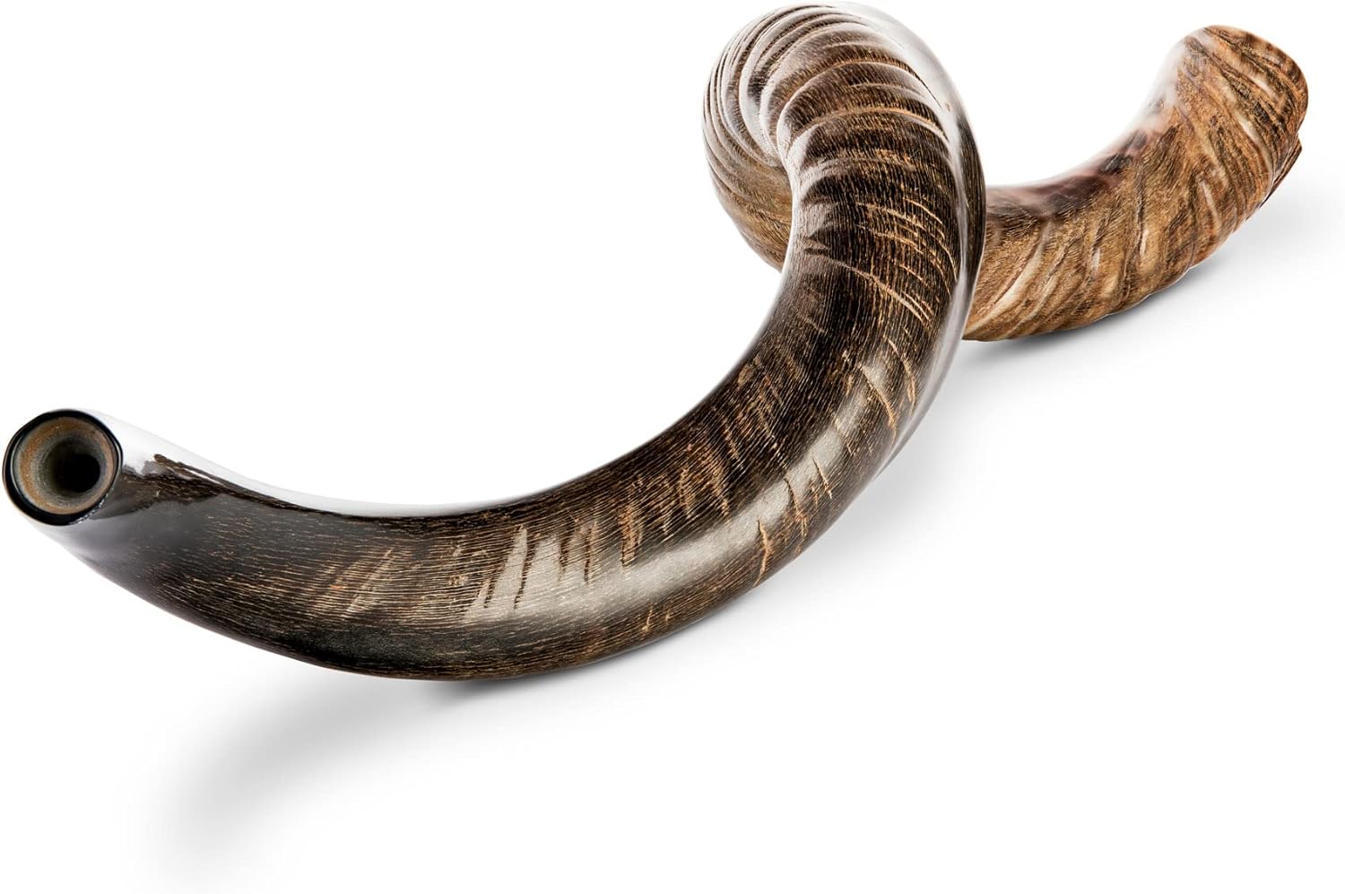 Shofar Horn Instrument Kudu Shofar Angels Musical Instrument Half Polished