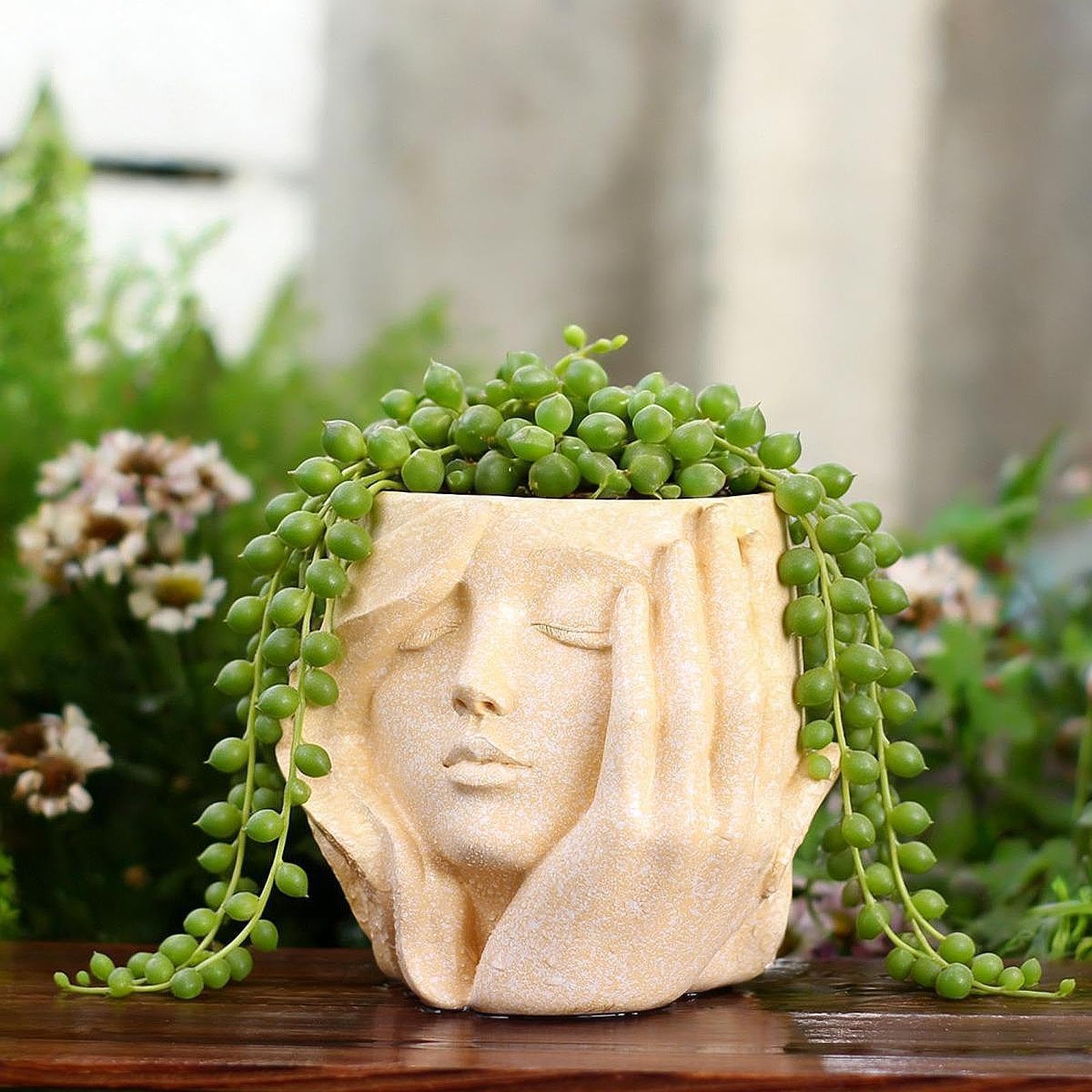 Vaso per Piante Facciali per Interni Ed Esterni, Fioriere per Terrazza, Balcone E Ufficio