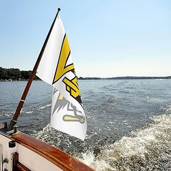 福岡ソフトバンクホークス 球団旗 Amazon.co.jp: 福岡ソフトバンクホークス 旗 野球の旗 応援 野球