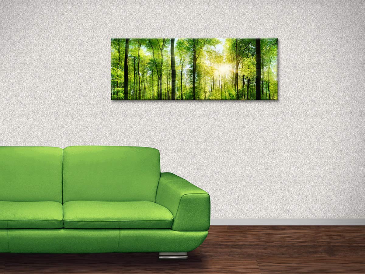 Delina Wandbild, Plexiglas Natur Verdoyante grün – Druck Acrylglas Modern Vintage – Dekoration für Haus, Küche, Wohnzimmer, Schlafzimmer, Büro – 120 x 50 cm