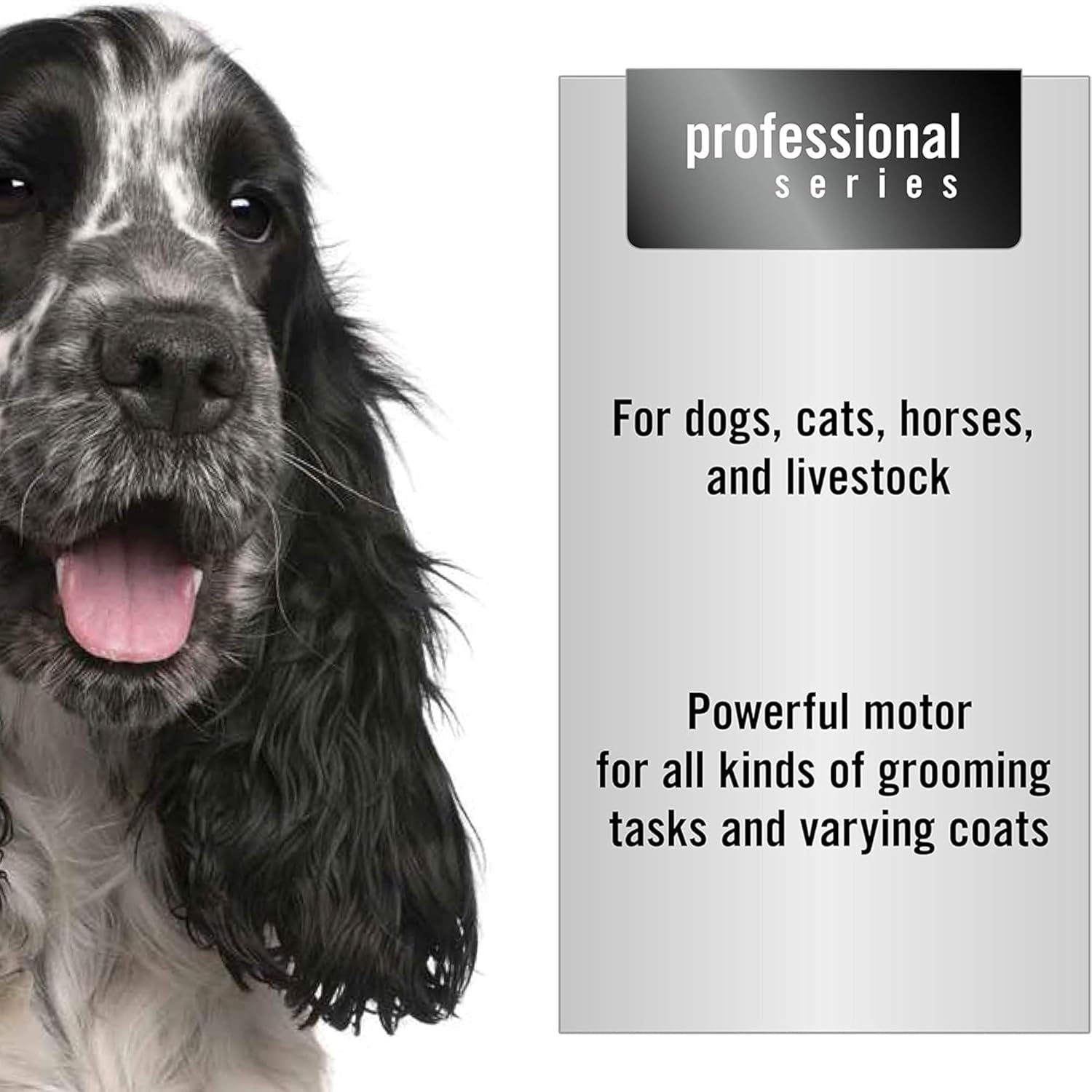 Text overlay on a white background with the heading 'Education' and bullet points: '4 tips on how to groom your dog:', 'Properly prepare the coat before a clipping by bathing, drying, brushing and removing any mats.', 'Have the pet stand on a towel so they will feel more secure & clean up is easier.', 'Examine the skin for any cuts, lumps, or sores and avoid these sensitive areas.', 'Pull the skin tight, creating a flat surface for smooth strokes. Never clip into a fold of skin.'