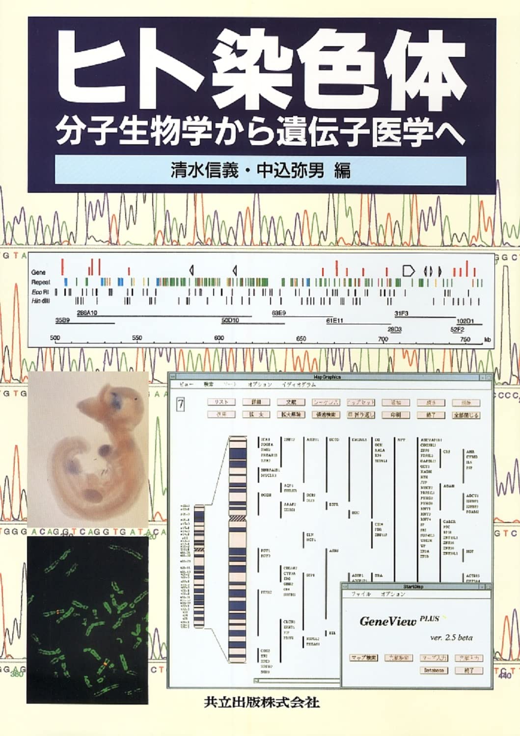 ヒト染色体―分子生物学から遺伝子医学へ | 信義, 清水, 弥男, 中込 |本