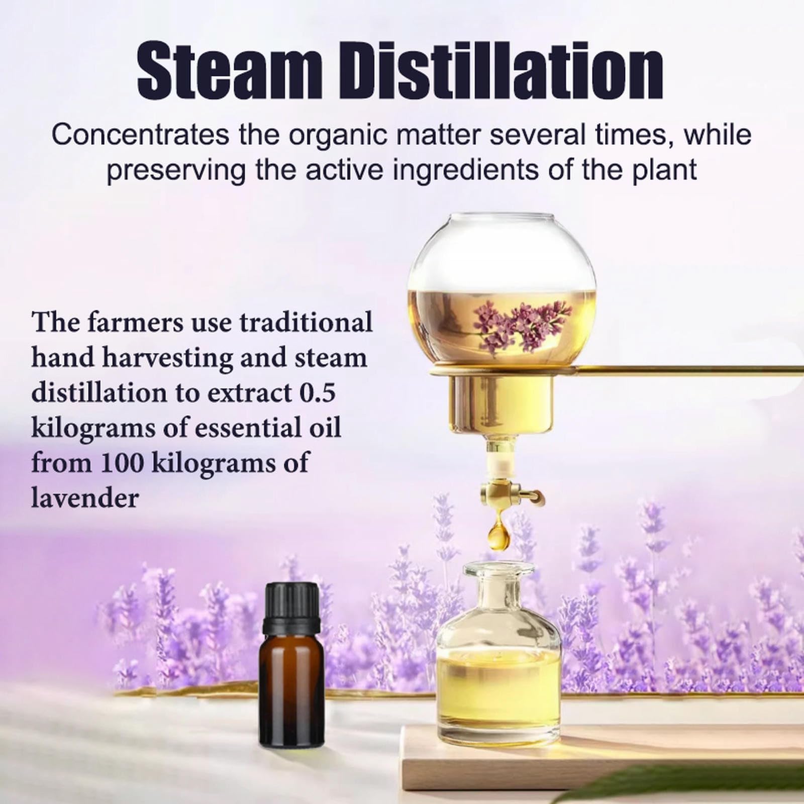 Aceite Esencial de Lavanda orgánico 100% Puro, de Grado terapéutico, para aromaterapia, difusores, Cuidado de la Piel y el Cabello, masajes corporales, jabón, Vela, Perfume, Bricolaje(1000ml)