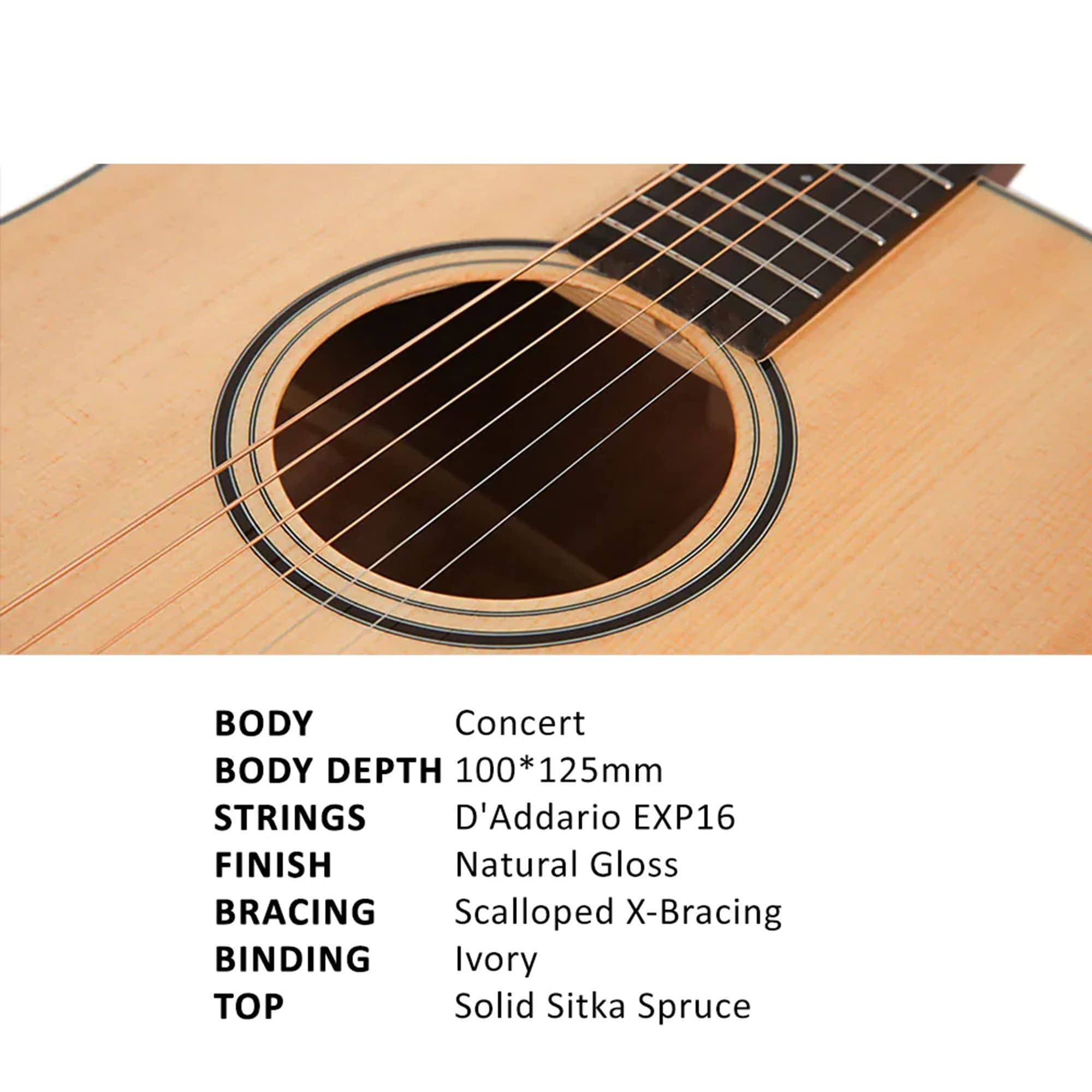 Parkwood S23GT Modern Concert Body Acoustic Guitar - Natural