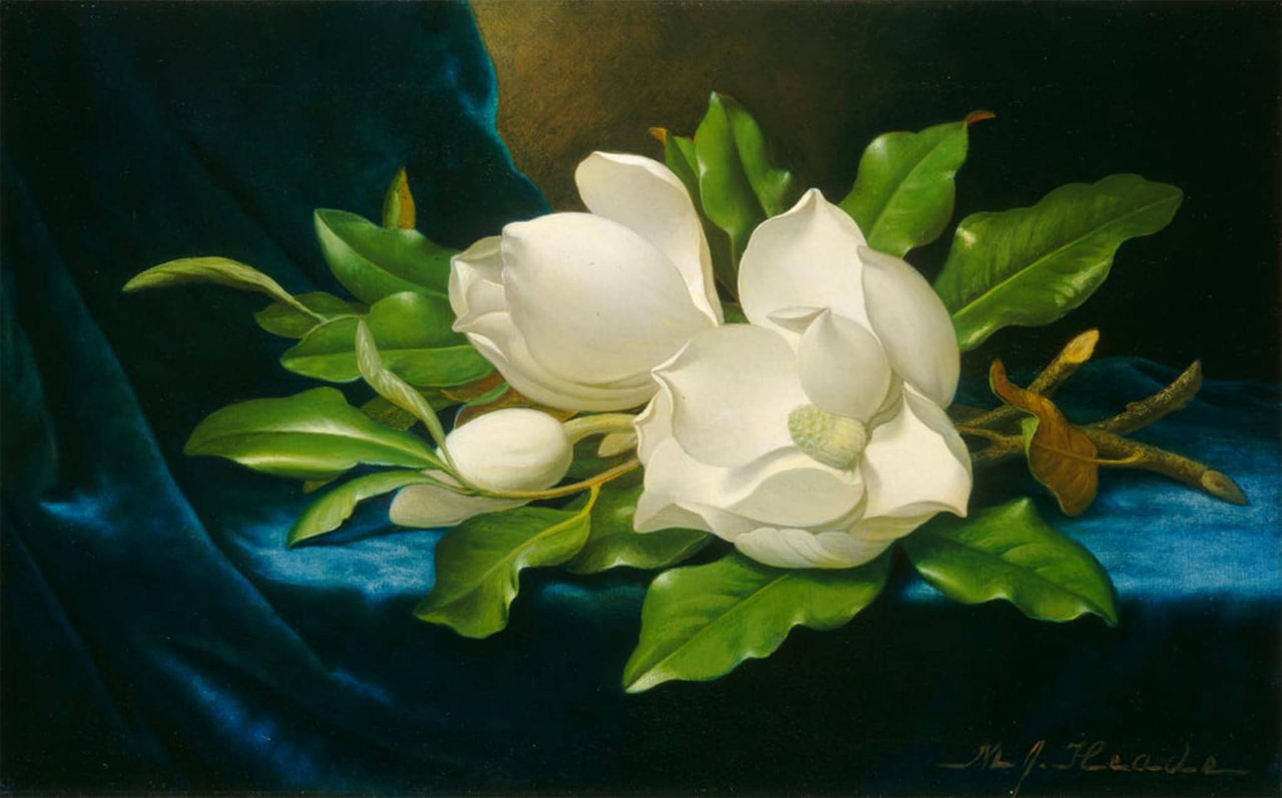 ARTXLXXBN Famous Art Print Poster Vintage Wall Art Magnolias on Acloth by Martins Johnson Heade Canvas Art Poster for Home Decor 60x90cm