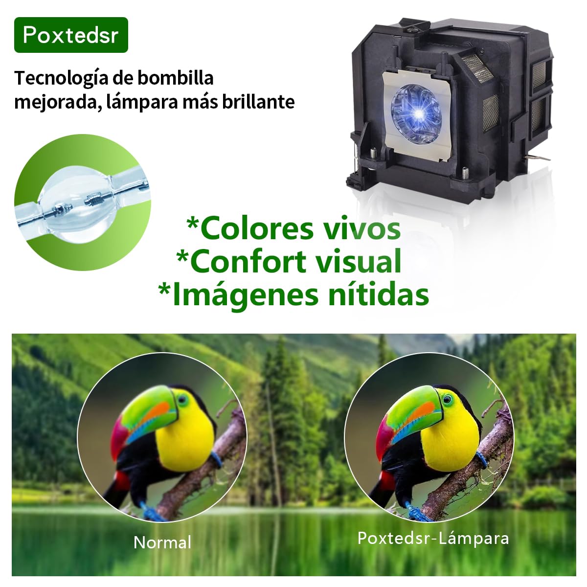 EL PLP79/V13H010L79 - Lampada di ricambio per proiettore compatibile con EPSON EB-575W EB-570 EB-575Wi BrightLink 575Wi PowerLite 570 PowerLite 575W