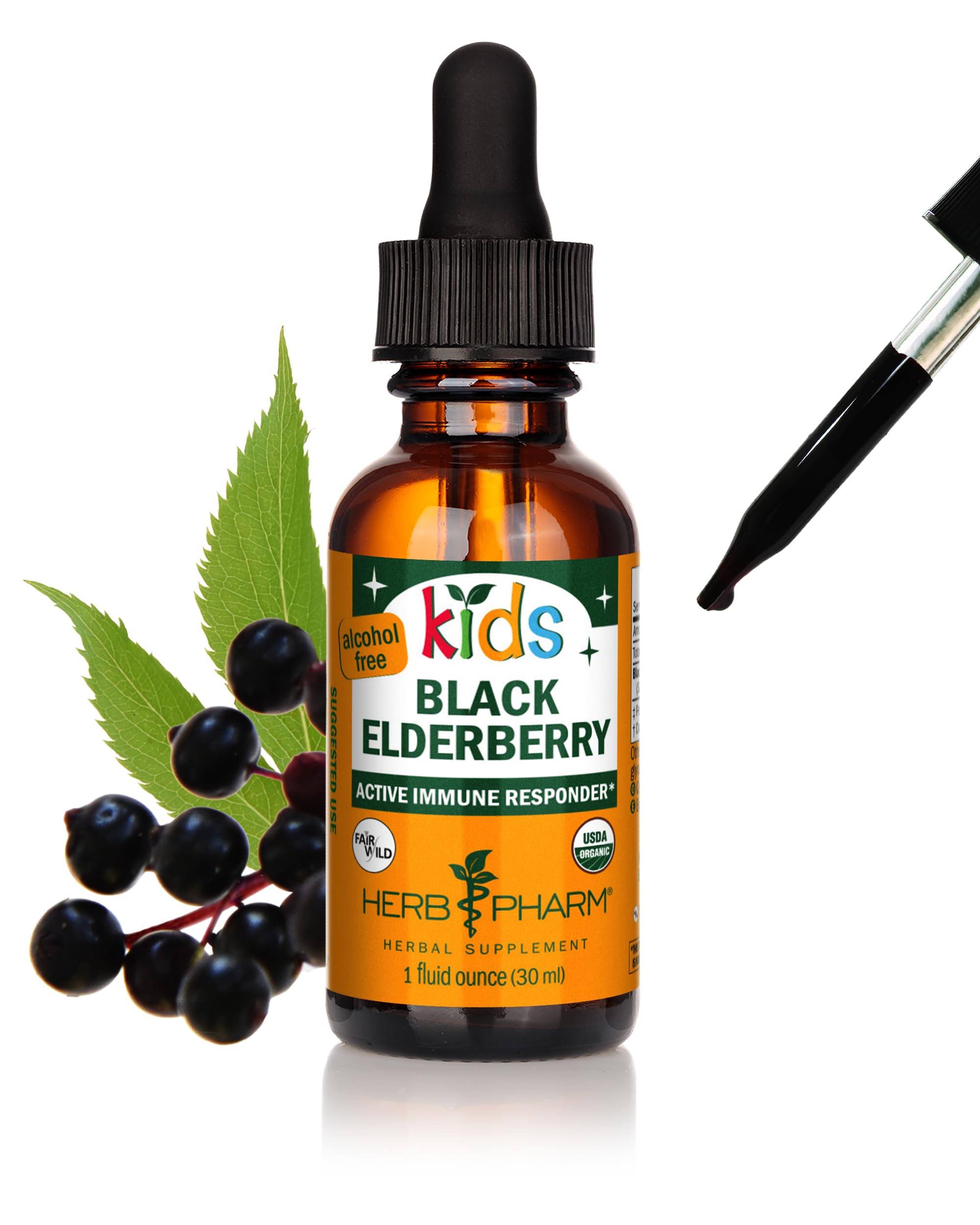 Herb Pharm Kids Certified-Organic Black Elderberry Glycerite