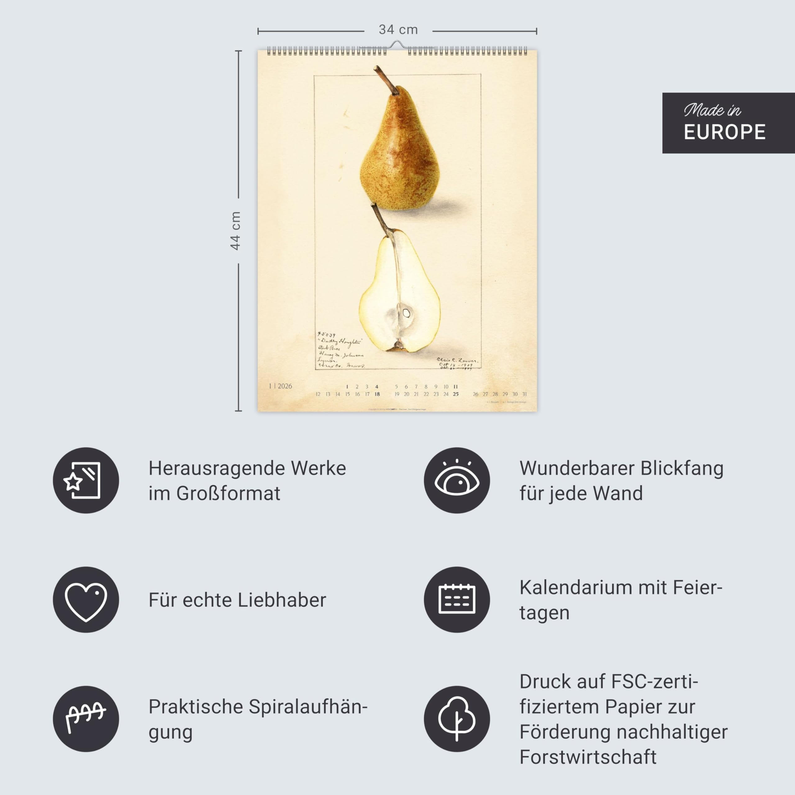 Alte Sorten Kalender 2026: Dekorativer Wandkalender mit historischen Zeichnungen. Die Klassiker im Obstgarten in Szene gesetzt: Natur- und Food-Kalender im Format 34 x 44 cm