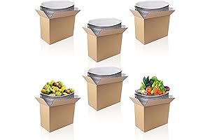 Thermo Chill 6-Pack Insulated Shipping Boxes