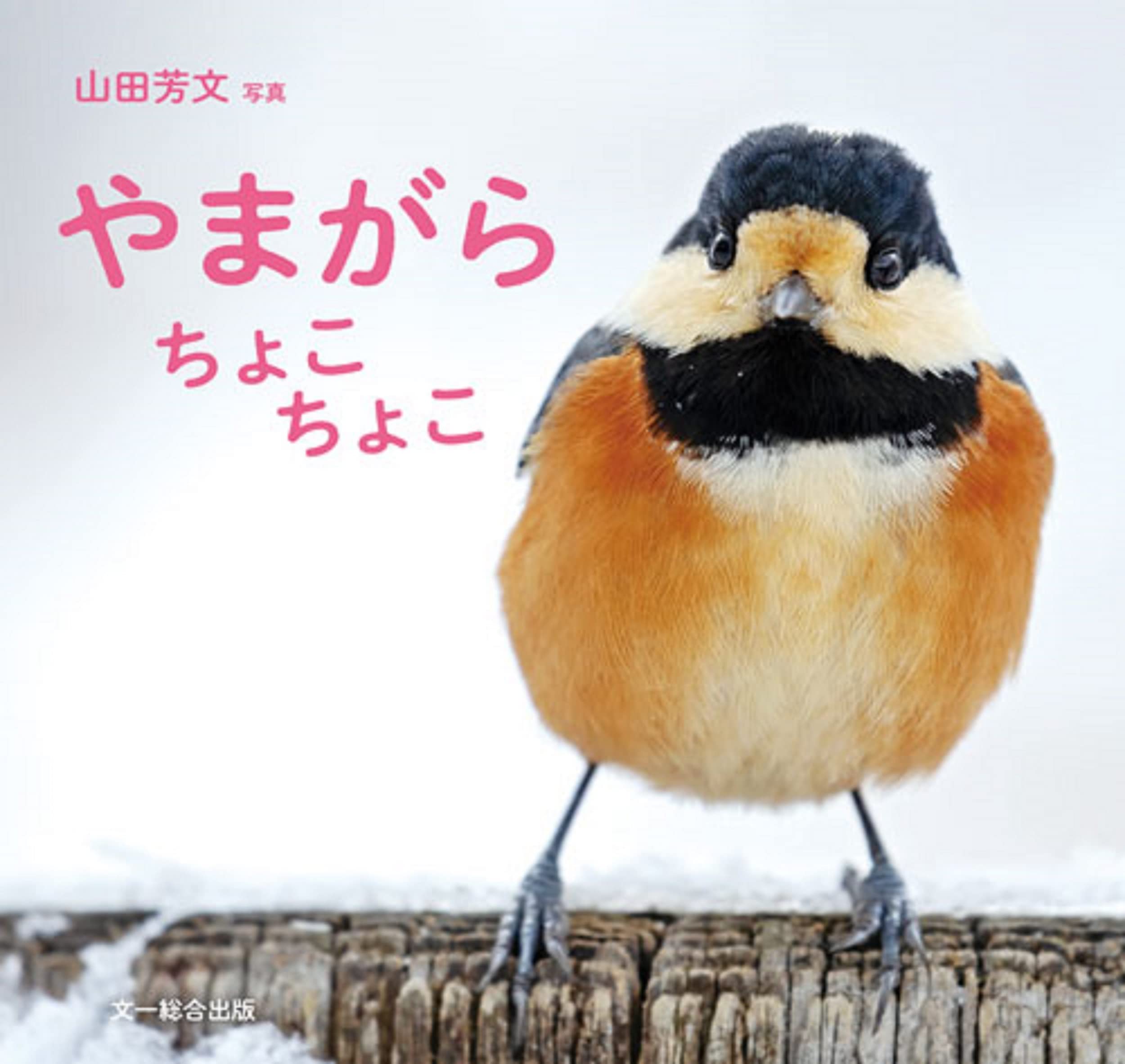 油絵　やまちゃん確認　ベストフレンド*ヘラジカと鳥 やまがら ちょこちょこ | 山田 芳文 |本 | 通販 | Amazon