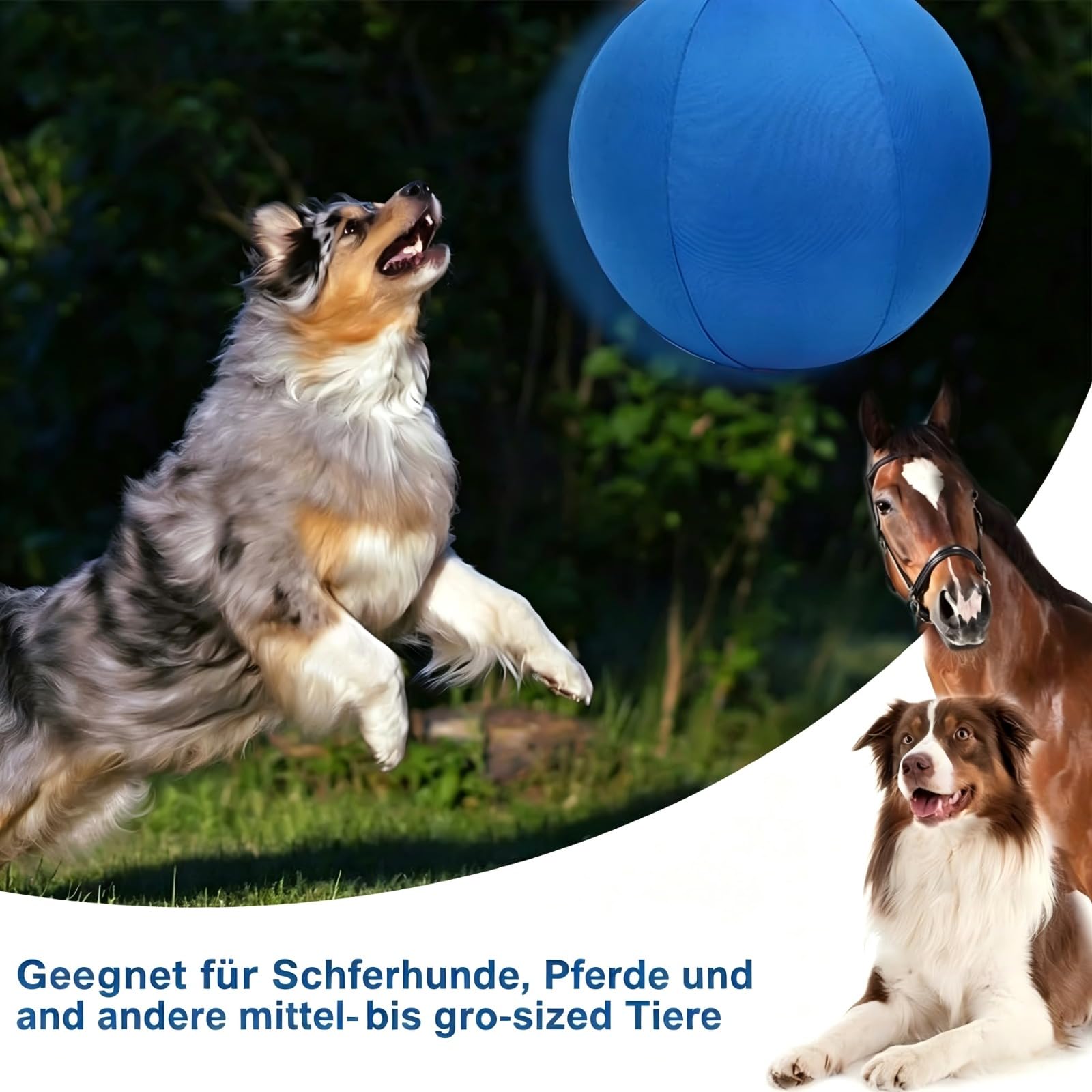 LentivaNorden Original Treibball, Treibball Für Hunde, Interaktives Hundeball für Innen und Außenbereich (Blau,L:65CM)