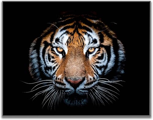 Impresión en lienzo de cabeza de tigre (36 x 48 x 1.25 pulgadas)