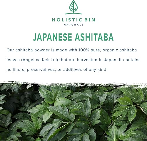 Miniatura 2 de Ashitaba en polvo orgánico hecho con hojas de Ashitaba japonesa 100% puras  Angelica Keiskei (1.76 oz)