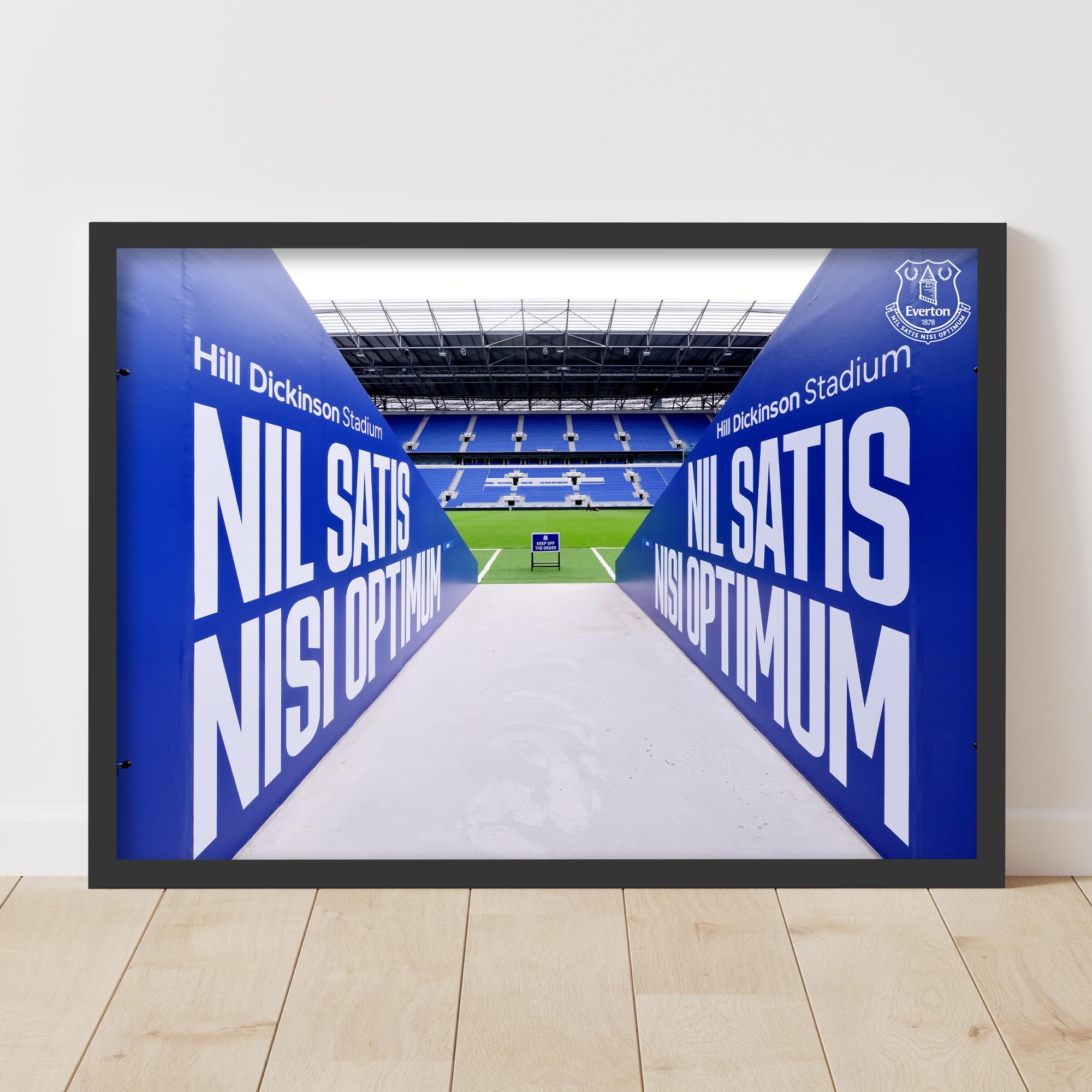 Themed Everton FC Print - Hill Dickinson Stadium Tunnel Poster Football Art (42cm x 59.4cm - A2)