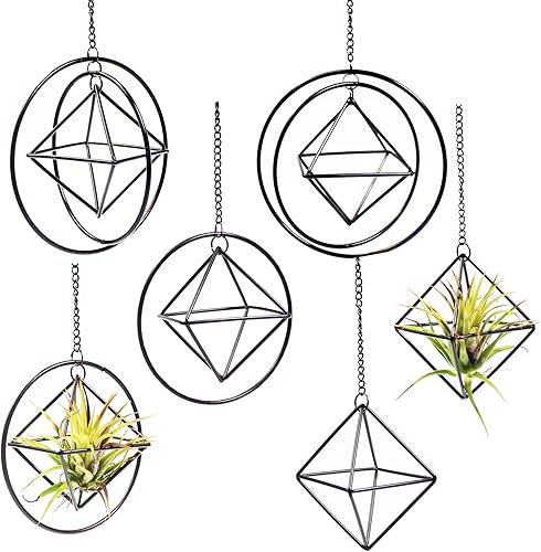 Air Plant Hanging Holders Black Airplants Hanging Cage Sets Wall Air Planters Hanger 6 Geometric Airferns Indoor Display Frame