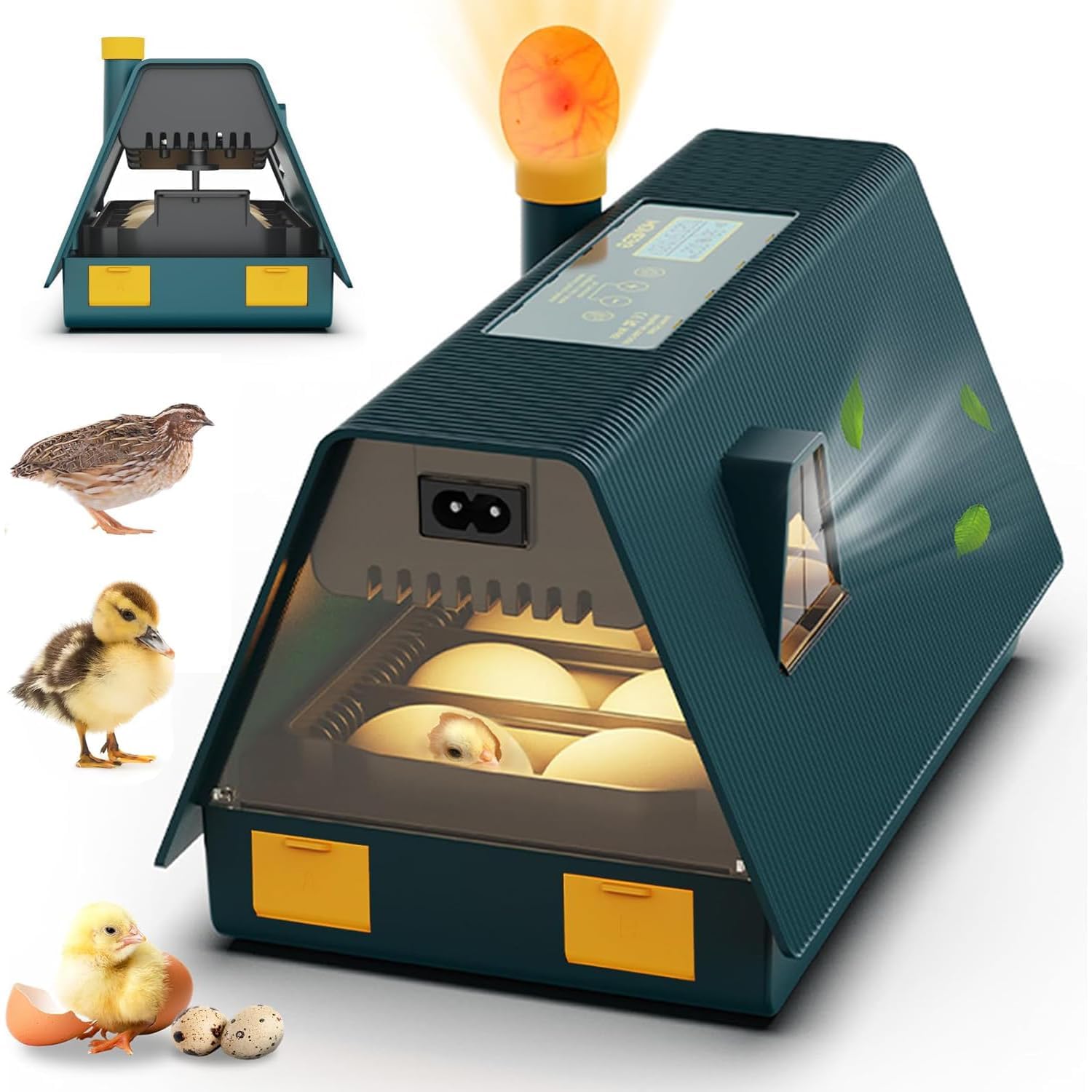 10 Uova incubatore Automatico, Ritorno Automatico e Display Digitale, candale a LED + Finestra di Vista Trasparente per Pollo/Anatra/quaglia - Amichevole per Principianti